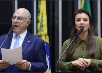 FPA garante acesso de projetos do PATEN a recursos do Fundo do Clima em sessão do Congresso