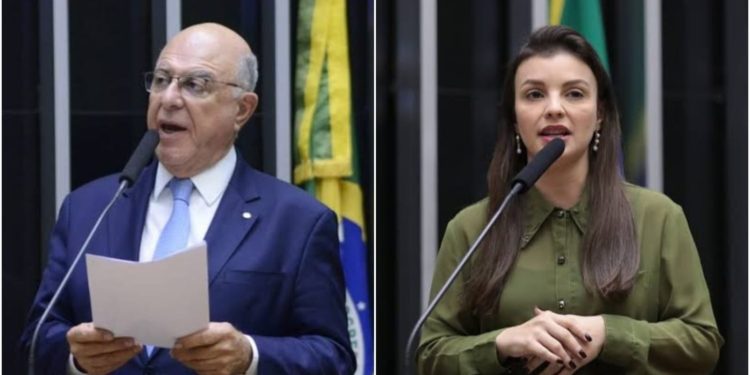 FPA garante acesso de projetos do PATEN a recursos do Fundo do Clima em sessão do Congresso