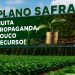 Por dentro dos números do Plano Safra 2025/26: a maior taxa de juros já paga pelo produtor rural