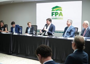 “Não existe defesa internacional com autossabotagem interna”, afirma Pedro Lupion