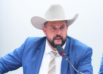 CAPADR debate o controle populacional do javali no território brasileiro