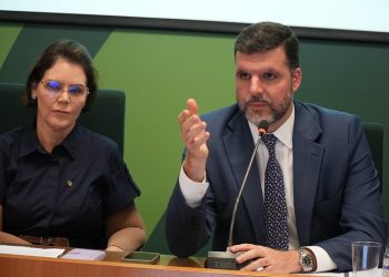 Moratória da Soja: FPA critica interferência do governo federal em acordo comercial privado