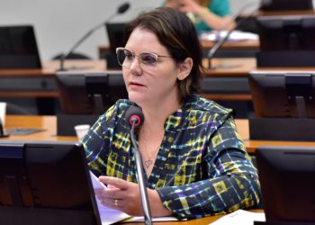 CAPADR aprova requerimento para convocar Marina Silva sobre atuação do MMA em defesa da Moratória da Soja