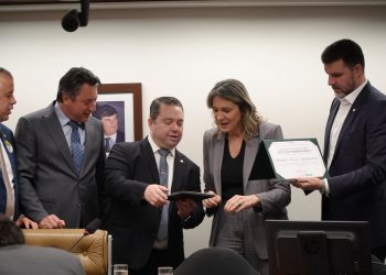 Comissão de Agricultura entrega Prêmio Mérito Agropecuário ao Instituto Pensar Agro