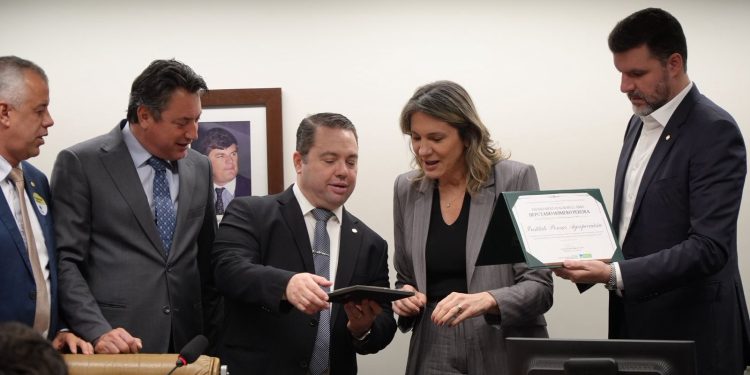 Comissão de Agricultura entrega Prêmio Mérito Agropecuário ao Instituto Pensar Agro