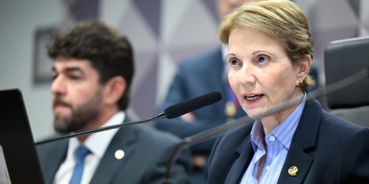 Comissão Mista no Senado avança na criação de novo modelo de licenciamento ambiental especial