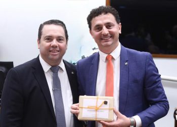 Pezenti é reconhecido como parlamentar mais atuante da CAPADR em 2025