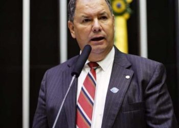 Comissão de Agricultura debate ampliação da competitividade da cadeia de proteínas vegetais e animais