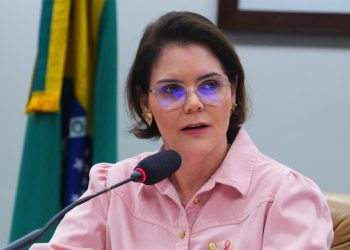 Coronel Fernanda apresenta parecer favorável ao porte rural de arma de fogo