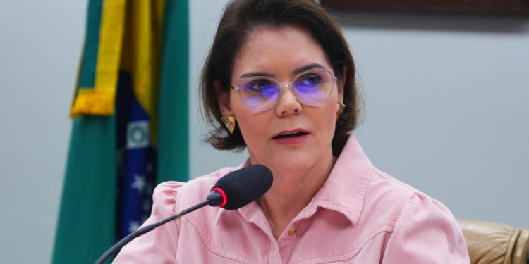 Coronel Fernanda apresenta parecer favorável ao porte rural de arma de fogo