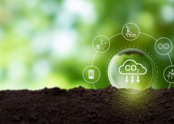 Mercado de Carbono avança no Congresso com foco em segurança jurídica ao produtor rural