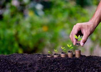 Endividamento rural mobiliza Congresso e acelera propostas de securitização em 2025