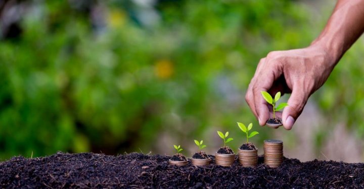 Endividamento rural mobiliza Congresso e acelera propostas de securitização em 2025