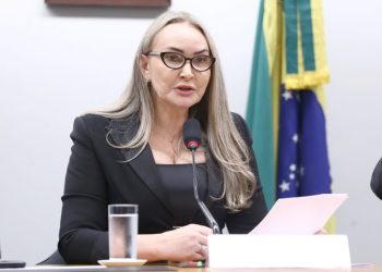 Comissão de Turismo da Câmara será presidida por Daniela Reinehr