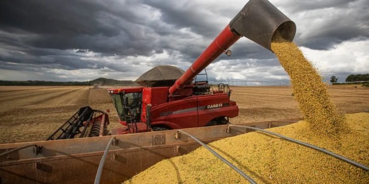 Agro cresce apesar de juros altos e falta de seguro rural, destacam parlamentares da FPA