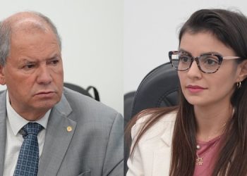 Open Finance do agro: proposta avança e pode melhorar condições de crédito e seguro rural