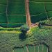 O que são os falsos-positivos do Prodes e como eles impactam o produtor rural?