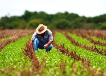 Endividamento avança no campo após juros altos, perdas climáticas e queda da renda