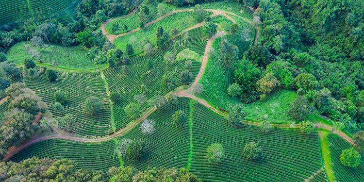 Imagem fazenda