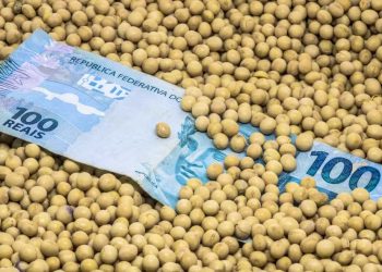 Crédito mais restrito ameaça investimentos no campo e acende alerta para próxima safra