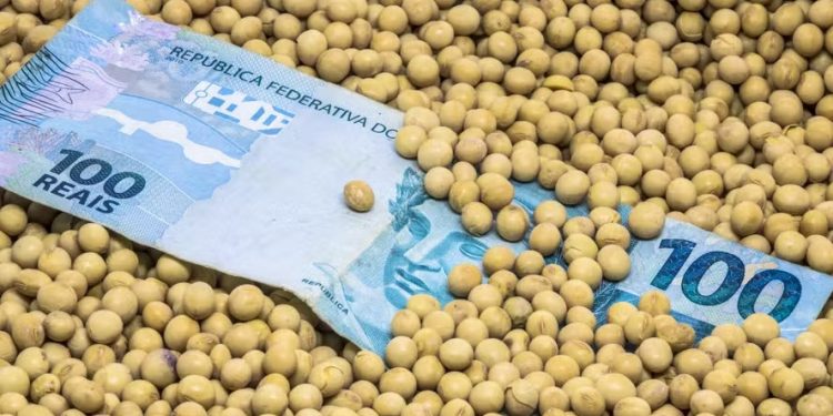 Crédito mais restrito ameaça investimentos no campo e acende alerta para próxima safra