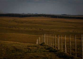 Fazenda