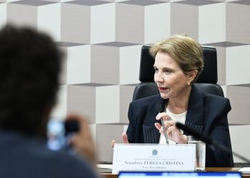Tereza Cristina defende política nacional para transformar minerais críticos em desenvolvimento e inovação
