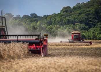 Plano Safra 26/27 frustra e preocupa desempenho do próximo ciclo