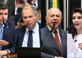 Bioenergia coloca o agro no centro da transição energética brasileira