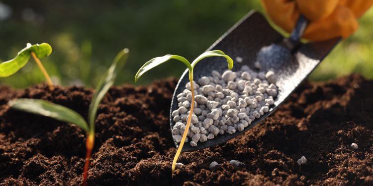 Fertilizantes