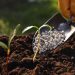 Fertilizantes