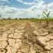 FPA: relatório da MP das dívidas rurais não resolve problema de acesso à renegociação