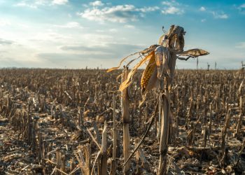 Carta Aberta da Frente Parlamentar da Agropecuária