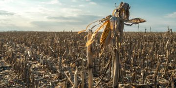 Carta Aberta da Frente Parlamentar da Agropecuária