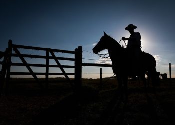 “Estamos fugindo da contratação”: o que tem levado o produtor a evitar Seguro Rural?