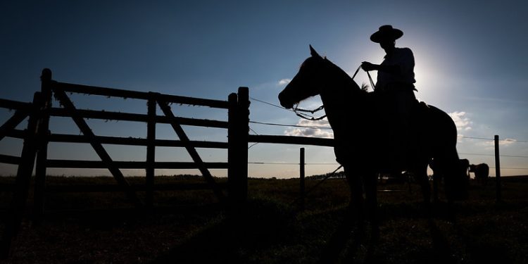 “Estamos fugindo da contratação”: o que tem levado o produtor a evitar Seguro Rural?