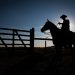 “Estamos fugindo da contratação”: o que tem levado o produtor a evitar Seguro Rural?